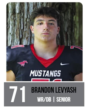 Brandon Levyash
