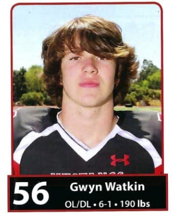 Gwyn Watkin