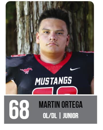 Martin Ortega