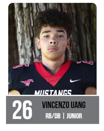 Vincenzo Uang