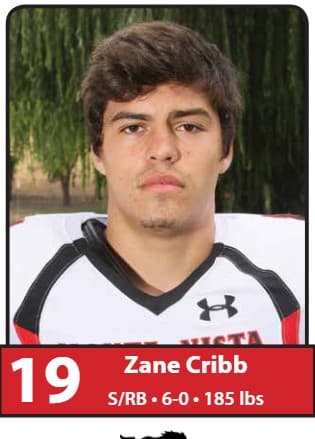 Zane Cribb